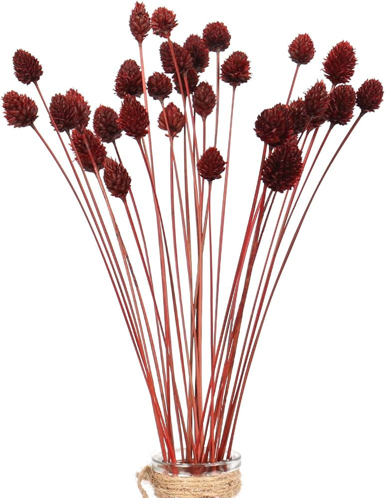 60pcs Red Dried Mini Pine Cone Ball Flowers with Stems 17" - Billy Ball Flowers for Vase, DIY Cra... | Amazon (US)