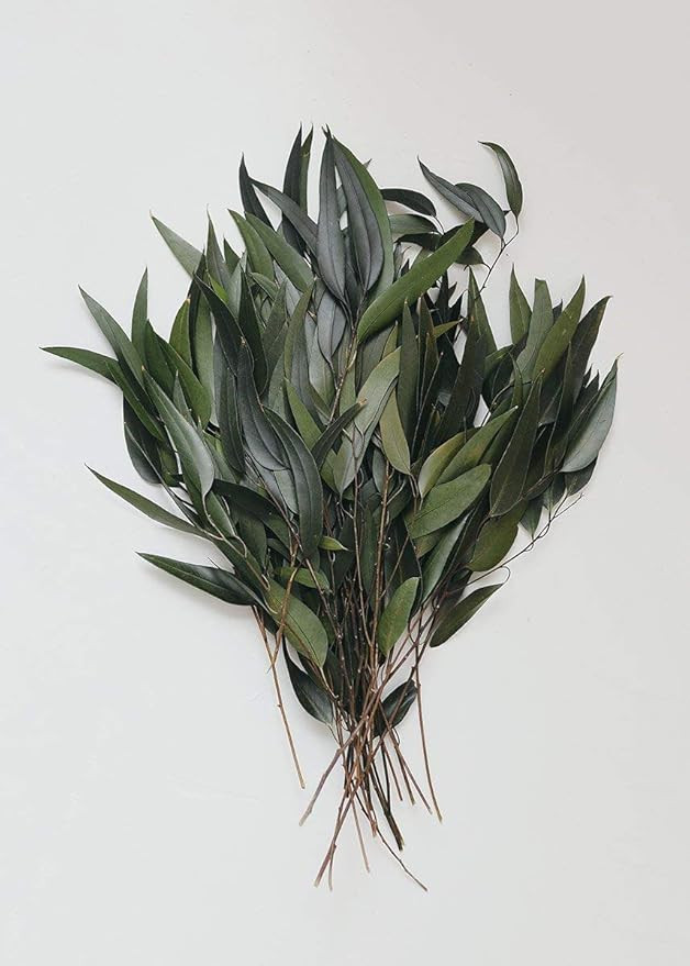 Visit the Afloral Store | Amazon (US)