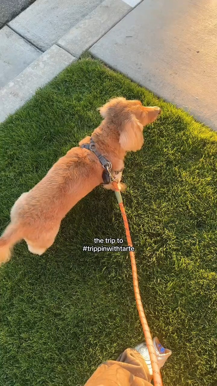   

 

#LTKdayinmylife #LTKootd #LTKSeasonal