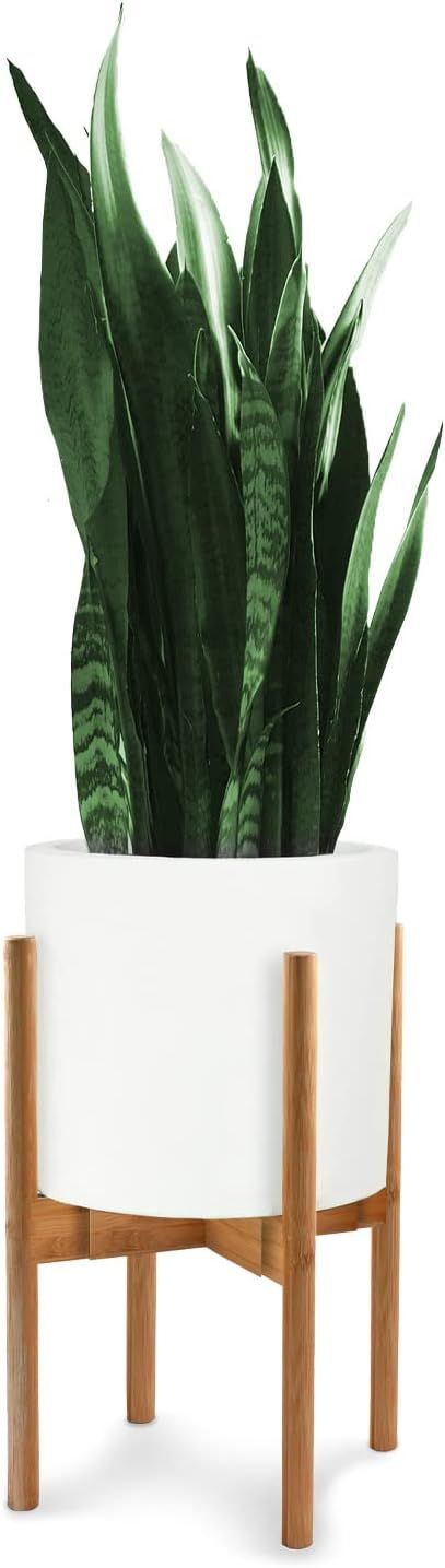 Fox & Fern Mid Century Modern Plant Stand, Indoor Plant Stand, Plant Holder, Corner Plant Stand I... | Amazon (US)