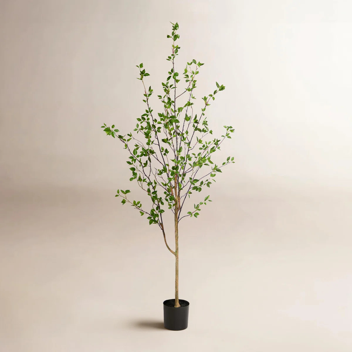 Milnor Minimalist Citrus Artificial Tree | Wayfair North America