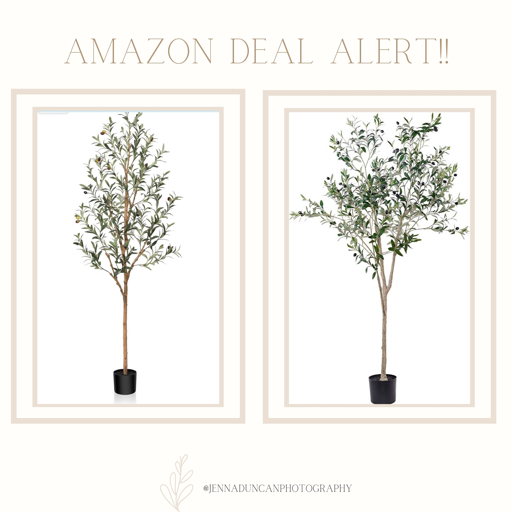Amazon deal alert!!! 

These faux olive trees are so pretty! And for 6ft tall, this is such a good deal on them!! Grab them before the lightening deal ends!


#LTKfamily #LTKsalealert #LTKhome