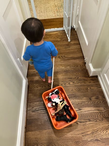 This little wagon can be used indoor or outdoor and it’s so cute to see what your toddler wants to carry around. Fun toy for their imagination!

#LTKbaby #LTKGiftGuide #LTKkids