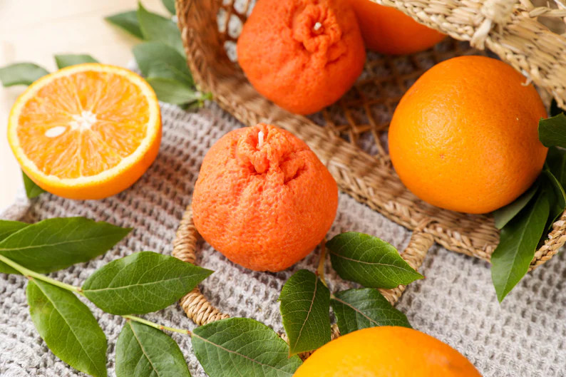 Orange Candle Garden Party Candle Original Gift Food Candle Soy Wax Candle Fruit Candle Orange Sc... | Etsy (US)