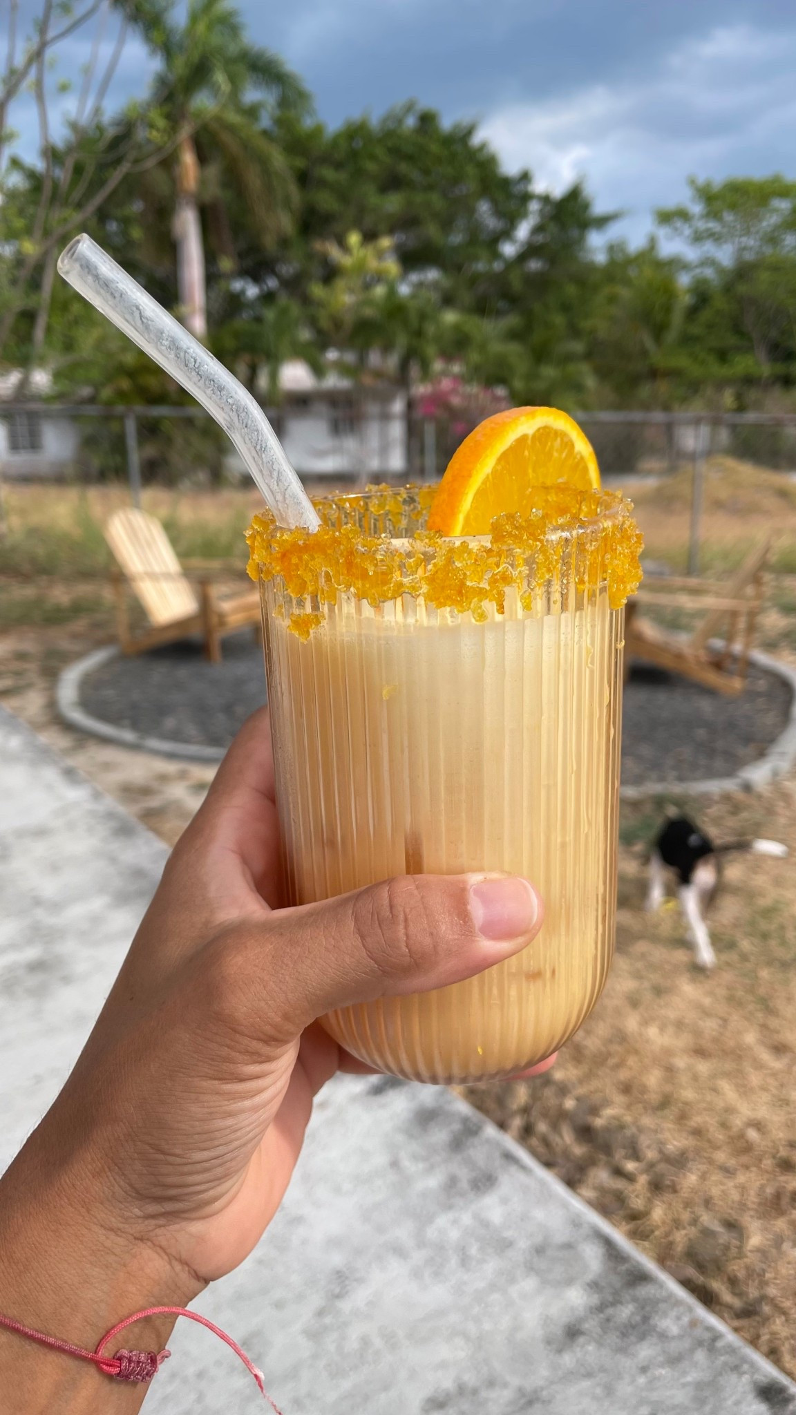 #LTKfoodie #LTKHome