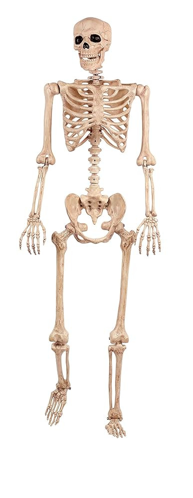 Crazy Bonez Original Pose-N-Stay Halloween Skeleton, 5 FT – Life-Size, Realistic, Fully Poseabl... | Amazon (US)