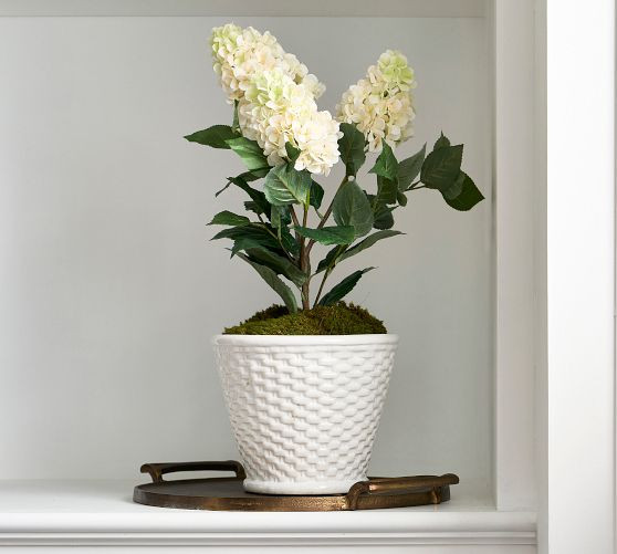 Ceramic Woven Cachepots | Pottery Barn (US)