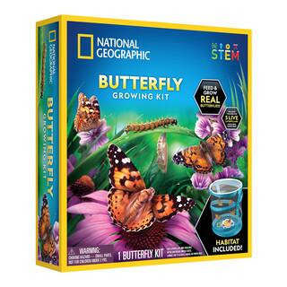 National Geographic™ Butterfly Growing Kit | Michaels® | Michaels Stores