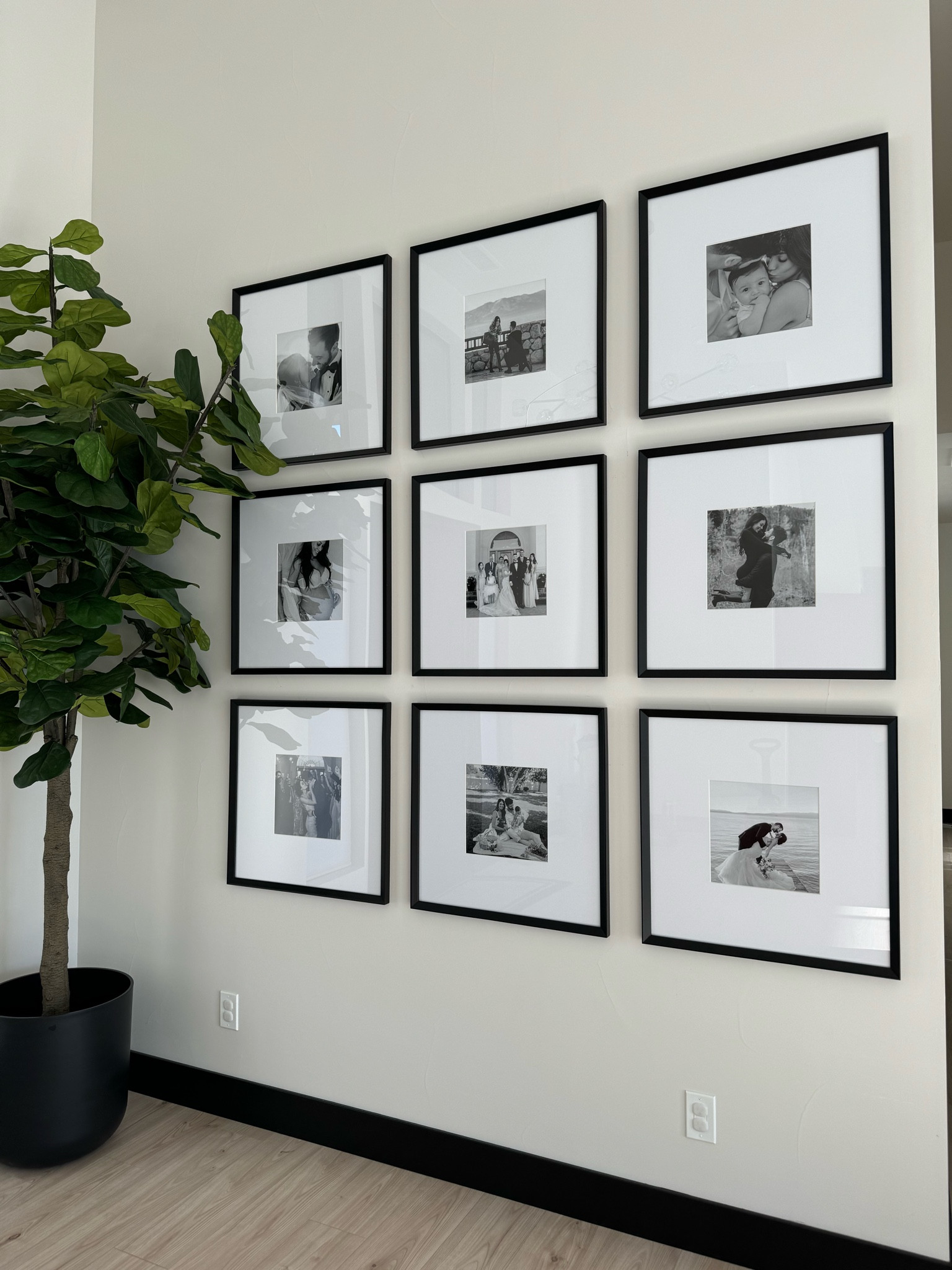 Gorgeous photo frames🖼️ from Crate & Barrel 
& faux fiddle tree🌳 from Amazon in the 20in. Planter pot 

#LTKHome #LTKStyleTip