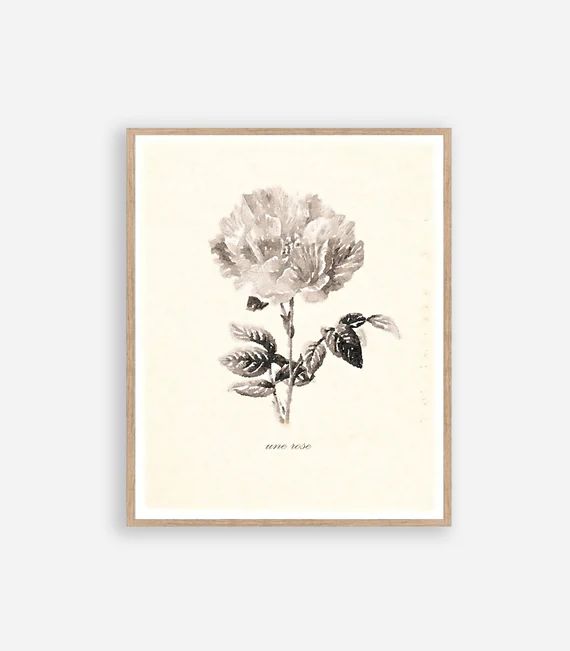 Vintage Rose Botanical Print French Decor Watercolor Wall Art, Digital Download, Flower Illustrat... | Etsy (US)