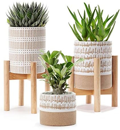 Very cute Set of 3 small stoneware pots with two plant stands - two pots are 5.75" high and 4.5" ... | Amazon (US)