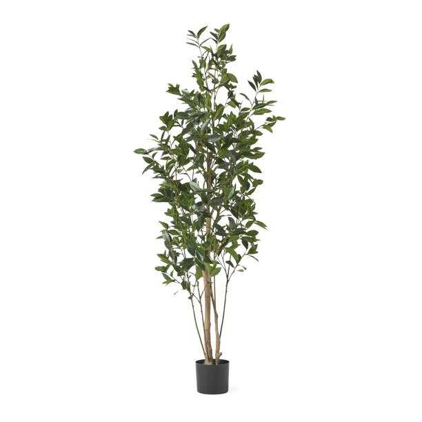 GDF Studio Atoka 6' x 2.5' Artificial Laurel Tree, Green - Walmart.com | Walmart (US)