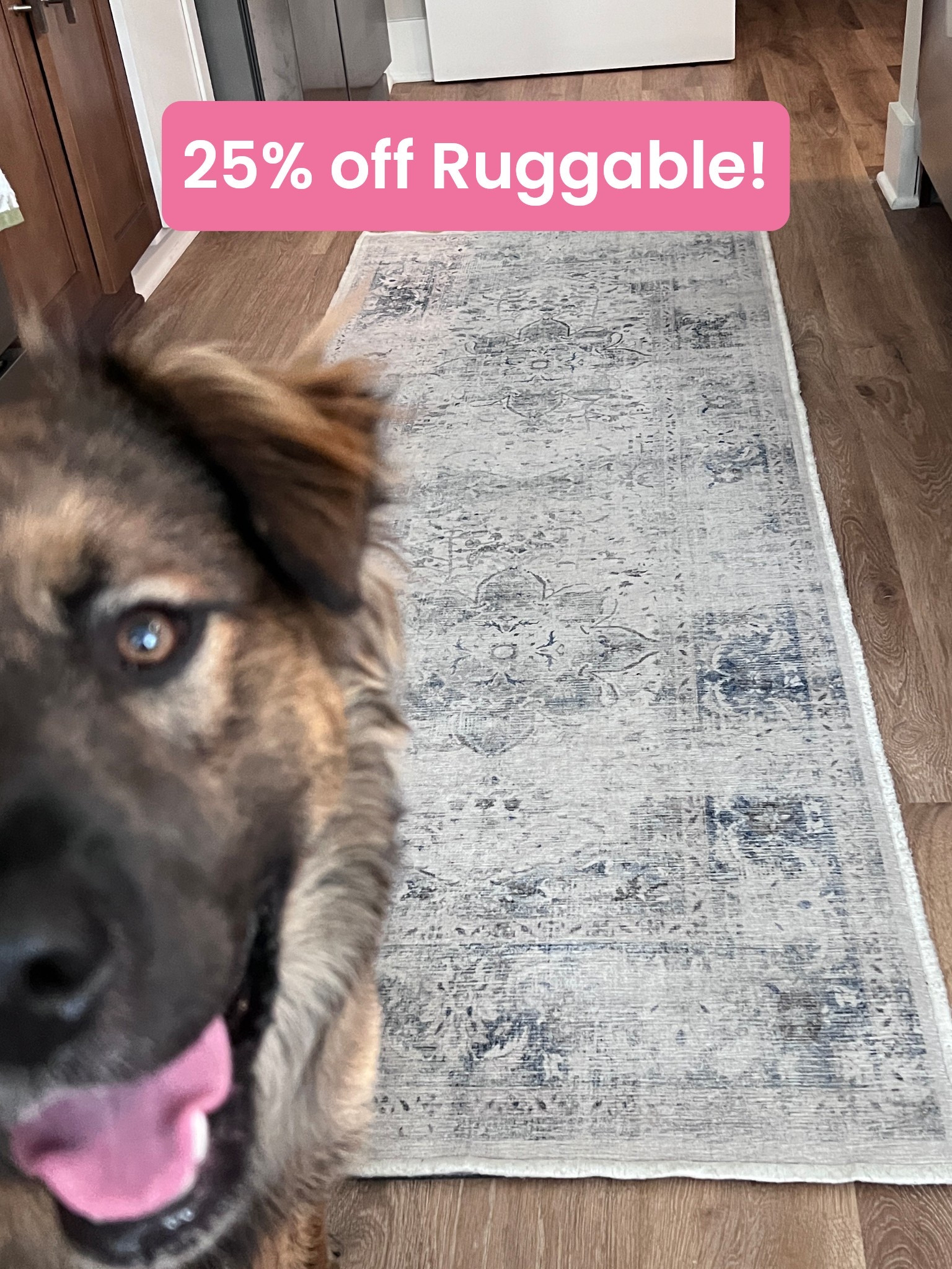 Have been obsessed with having a rug that we literally throw in the washer and dryer if needed.

We’ve had this since Ari was a puppy and have washed it at least 10 times since due to puppy fun.

We are currently in the process on deciding on a Ruggable rug for our living room, too! We already have this kitchen runner and an entrance hallway runner!

#LTKCyberWeek #LTKHome #LTKHoliday