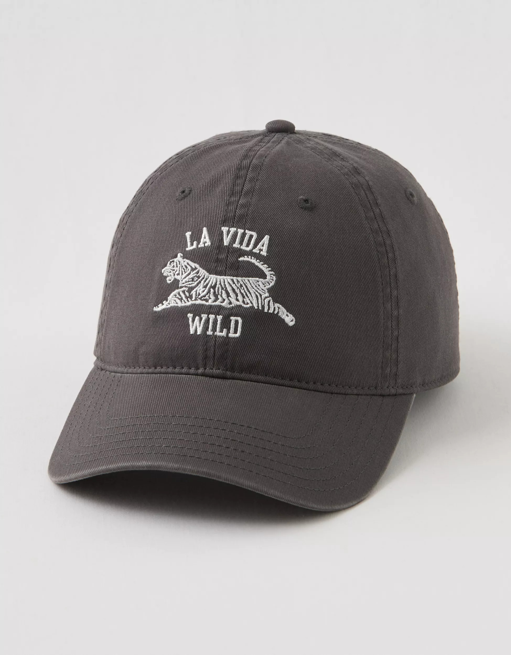 Aerie Graphic Baseball Hat | Aerie