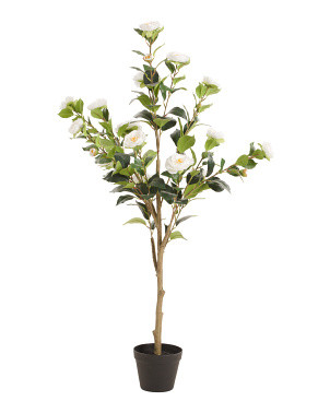 48in Outdoor Safe Uv Resistant Faux Cypress Tree | Plants & Planters | Marshalls | Marshalls