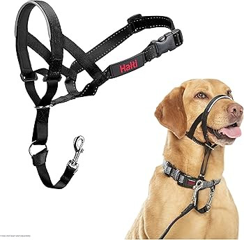 Halti Headcollar - Stop Your Dog Pulling on the Leash. Adjustable, Reflective and Lightweight, wi... | Amazon (US)