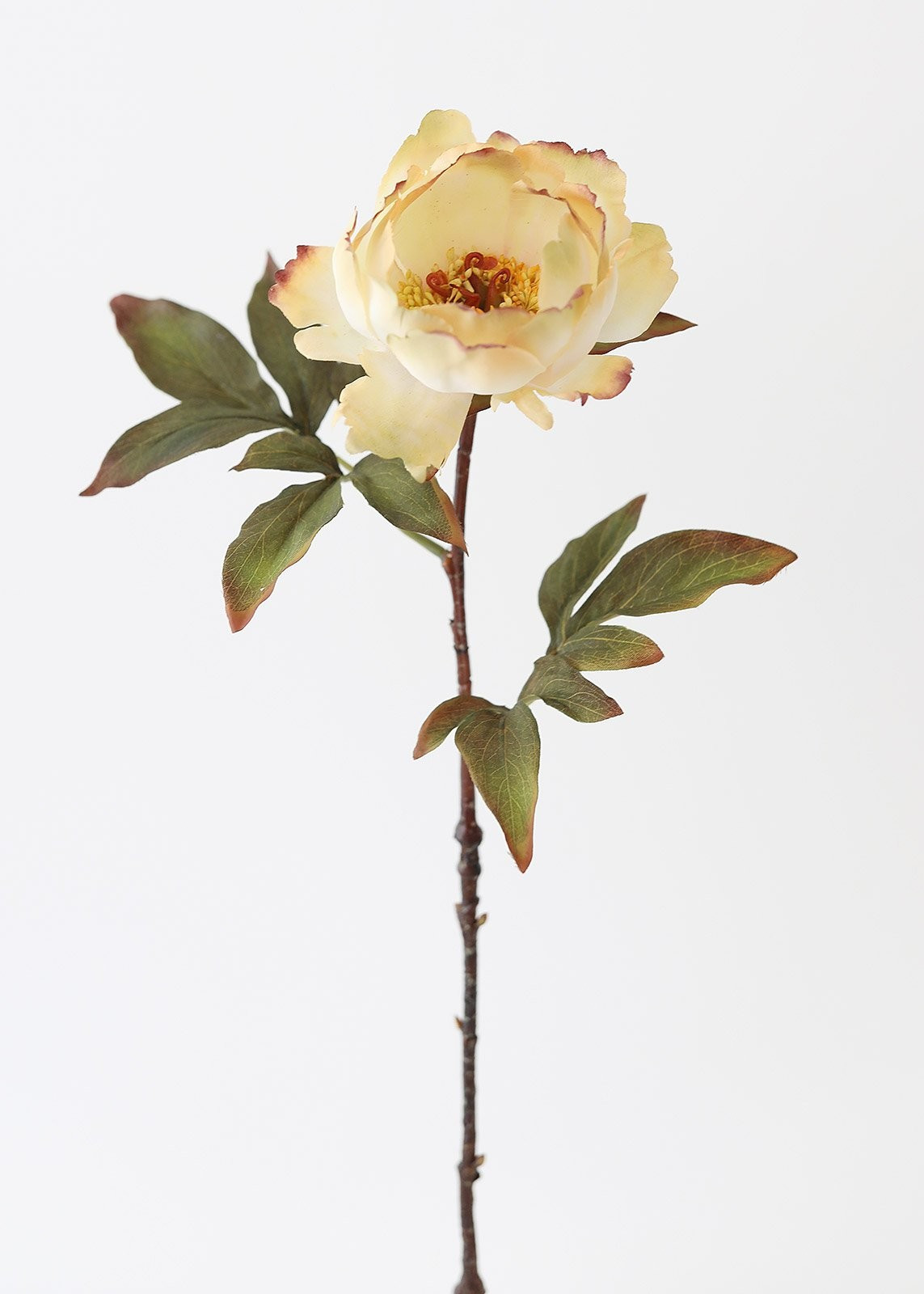 Vanilla Ivory Fake Peony Fall Flower - 22" | Afloral (US)