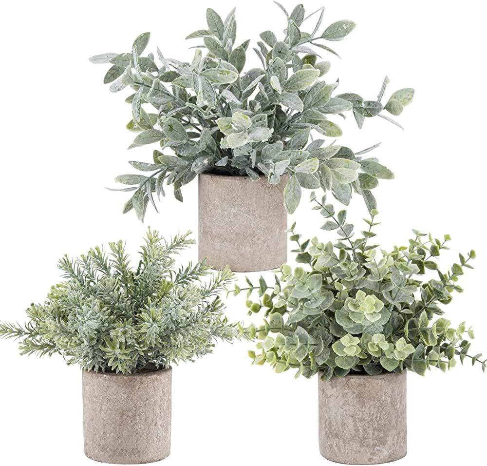 Der Rose 3 Pack Mini Potted Fake Plants Artificial Plastic Eucalyptus Plants Topiaries for Home O... | Amazon (US)