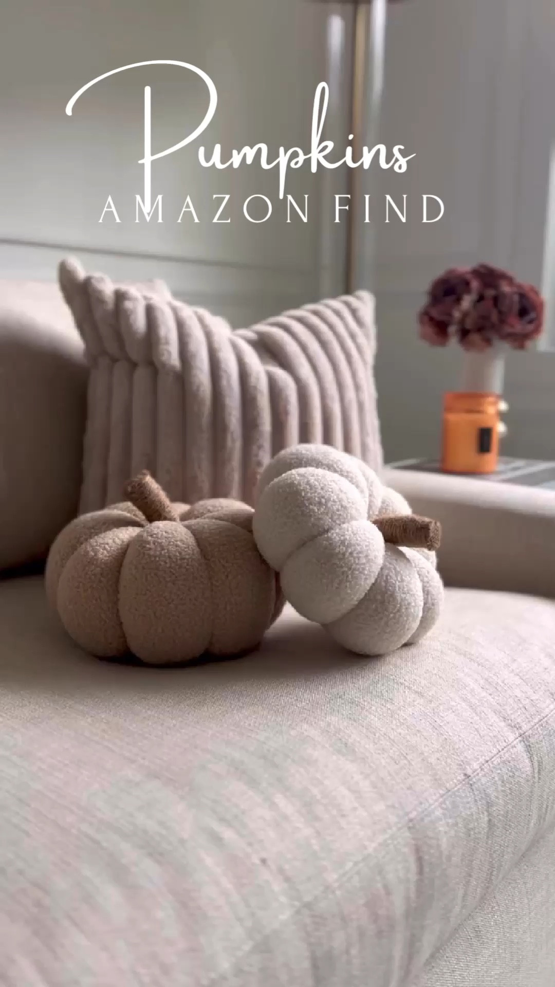 On trend Sherpa neutral pumpkin pillows. 

Amazon find. Amazon home. Fall decor. Fall decoration. Fall style. Neutral decor. Pillows. Accent pillows. Home decor. Neutral aesthetic  

#LTKSeasonal #LTKunder50 #LTKhome