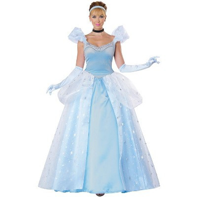 California Costumes Cinderella Deluxe Ball Gown Adult Costume, Medium | Target