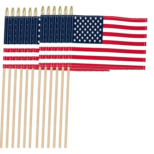 Heavy Duty 12 Pack 5x8 Inch Small American Flags on Stick, Handheld USA Stick Flags, Durable Break-Resistant 5/16” Birch Pole, 300D Oxford Fabric, 4th of July, Memorial Day, Veterans Day, Parade & Church Decorations | Amazon (US)