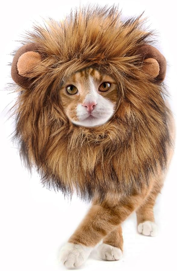 Onmygogo Lion Mane Wig for Cats and Dogs, Funny Pet Cat Costumes for Halloween Christmas, Furry P... | Amazon (US)