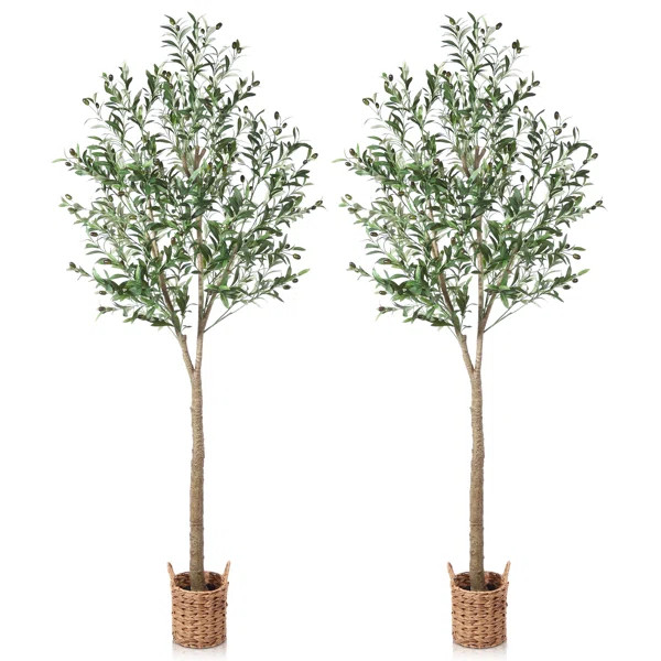 Adcock Artificial Olive Tree In Pot Faux Olive Plant, Fake Olive Tree for Home Decor | Wayfair North America