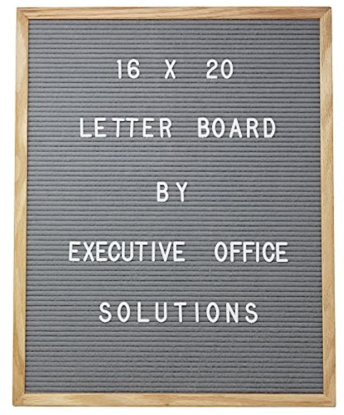 16 X 20 Changeable Letter Board - Gray Felt with Solid Oak Frame, Wall Mount, Canvas Bag, and 290 Ch | Amazon (US)