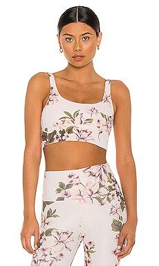BEACH RIOT Leah Sports Bra in Pink from Revolve.com | Revolve Clothing (Global)
