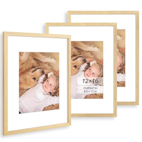 12x16 Picture Frame - Solid Wood - Use as 8.5x11 Frame with Mat or 12x16 Frame Without Mat - 12 x 16 Poster Frames - 12 by 16 Photo Frame with Plexiglass for Wall Mounting - Beige - 3 Pack | Amazon (US)