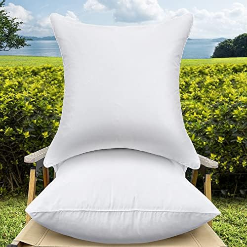 16 x 16 Outdoor Throw Pillow Inserts Set of 2 Waterproof Square Premium Decorative Couch Pillow S... | Amazon (US)