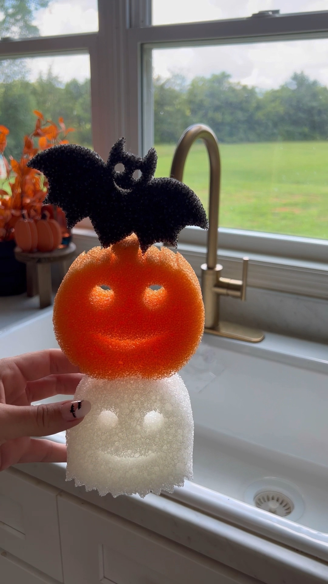 Spooky scrub daddy 

#LTKHome #LTKSeasonal