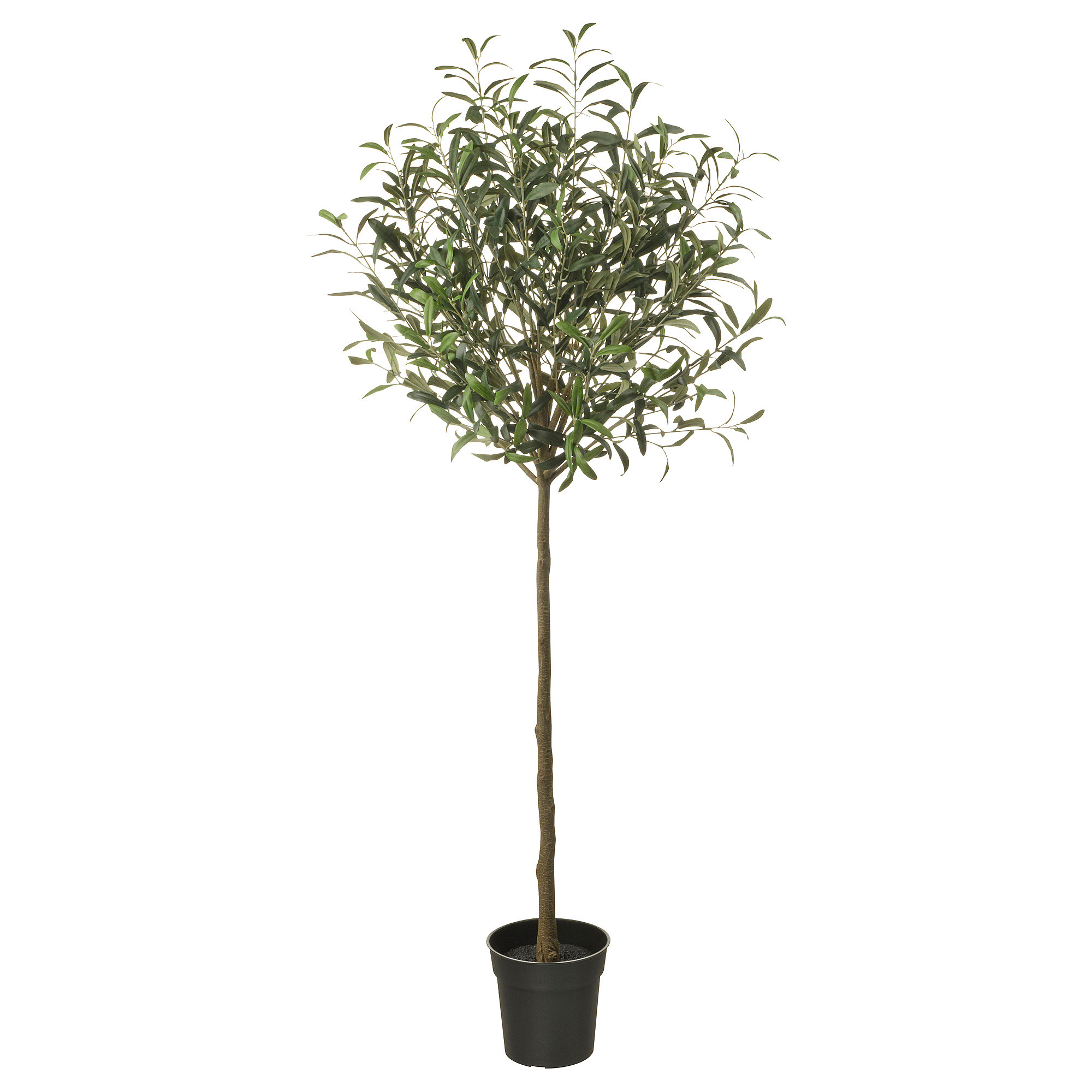 FEJKA Artificial potted plant, indoor/outdoor/Olive tree green, 7 ½ " | IKEA US