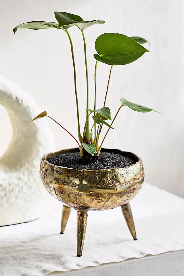 Burnished Tripod Bowl Planter in Brown, Size: 7" at Terrain | Terrain