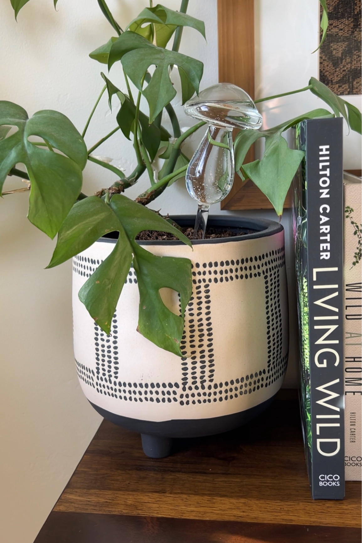 Mushroom water globe. Plant accessory + functional. 

#LTKhome #LTKFind #LTKGiftGuide