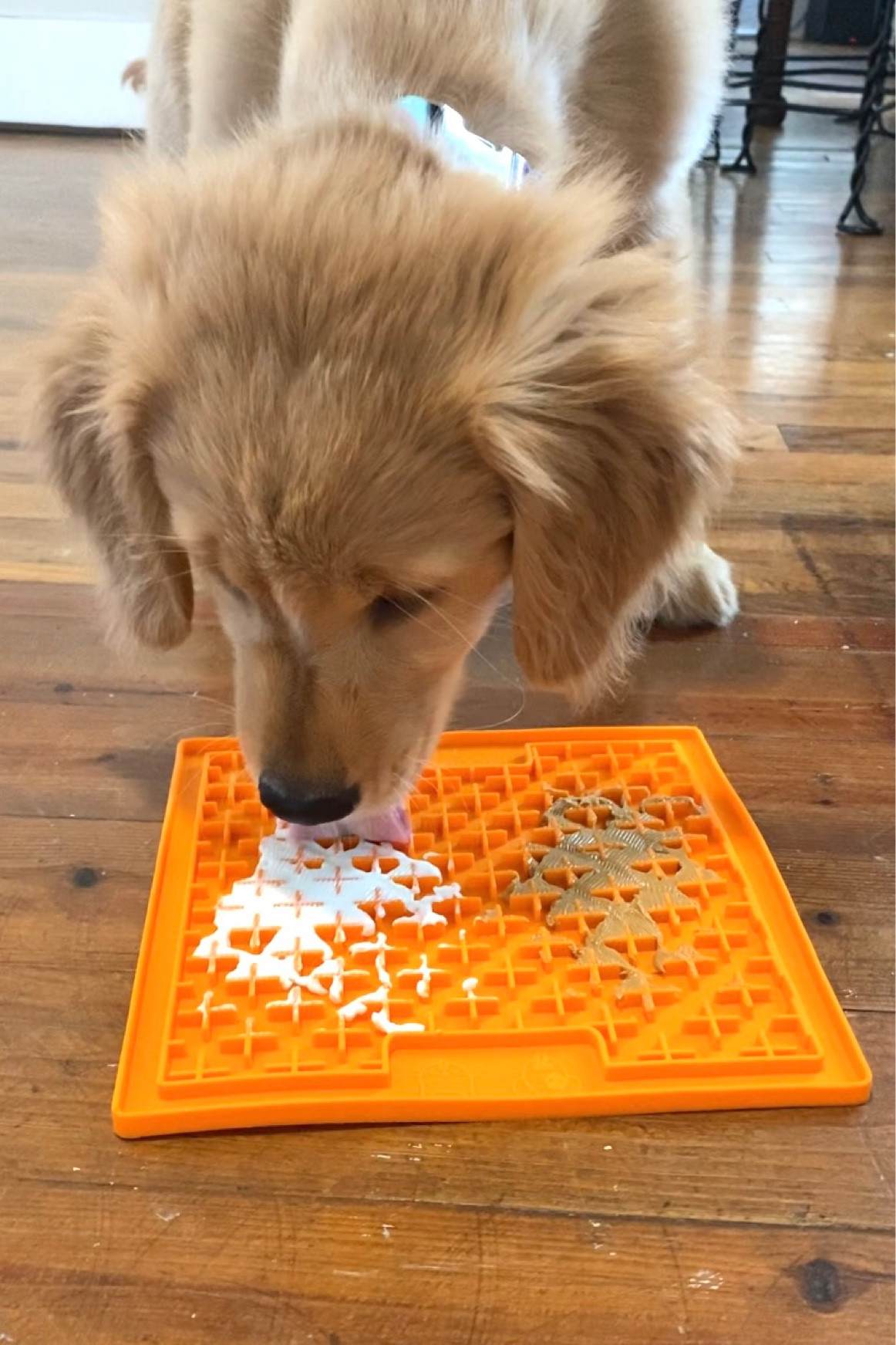 Baby Finn showing his lick mat! He eats peanut butter, Greek yogurt, and blueberries on it. If you have a dog or cat, you need one of these!🐾