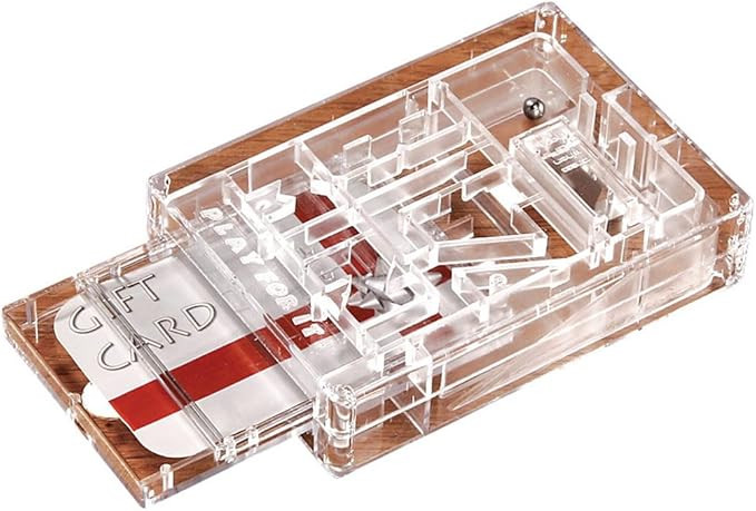 BILZ Money Puzzle - Brain Teasing Maze for Cash or Gift Cards - Perfect for Christmas - Great for... | Amazon (US)