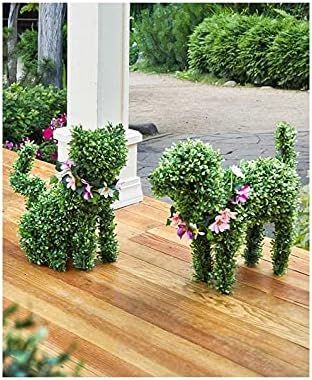 Adorable Boxwood Dog or Cat with 4 Seasonal Collars Best Home Lawn Outdoor Yard Art Garden Front ... | Amazon (US)