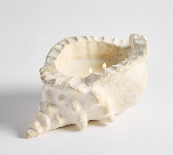 Sea Urchin | Pottery Barn (US)