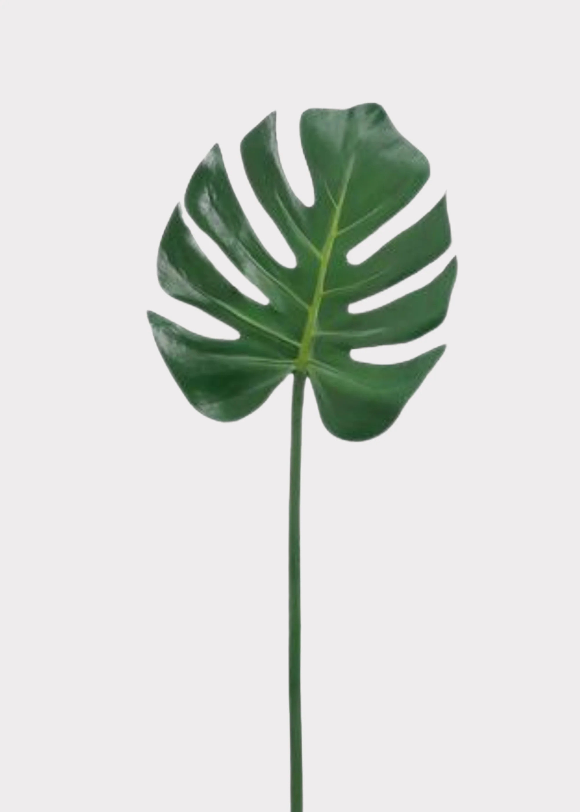 Monstera Leaf Stem | Realistic Fake Tropical Leaves | Afloral | Afloral