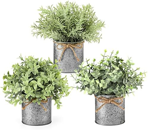 Mkono Small Fake Plants in Farmhouse Galvanized Metal Pots 3 Pack Potted Artificial Plant Eucalyp... | Amazon (US)