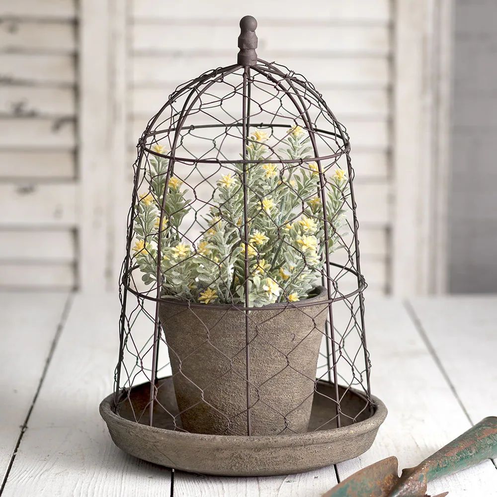 Chicken Wire Cloche with Terra Cotta Pot and Saucer | Bed Bath & Beyond