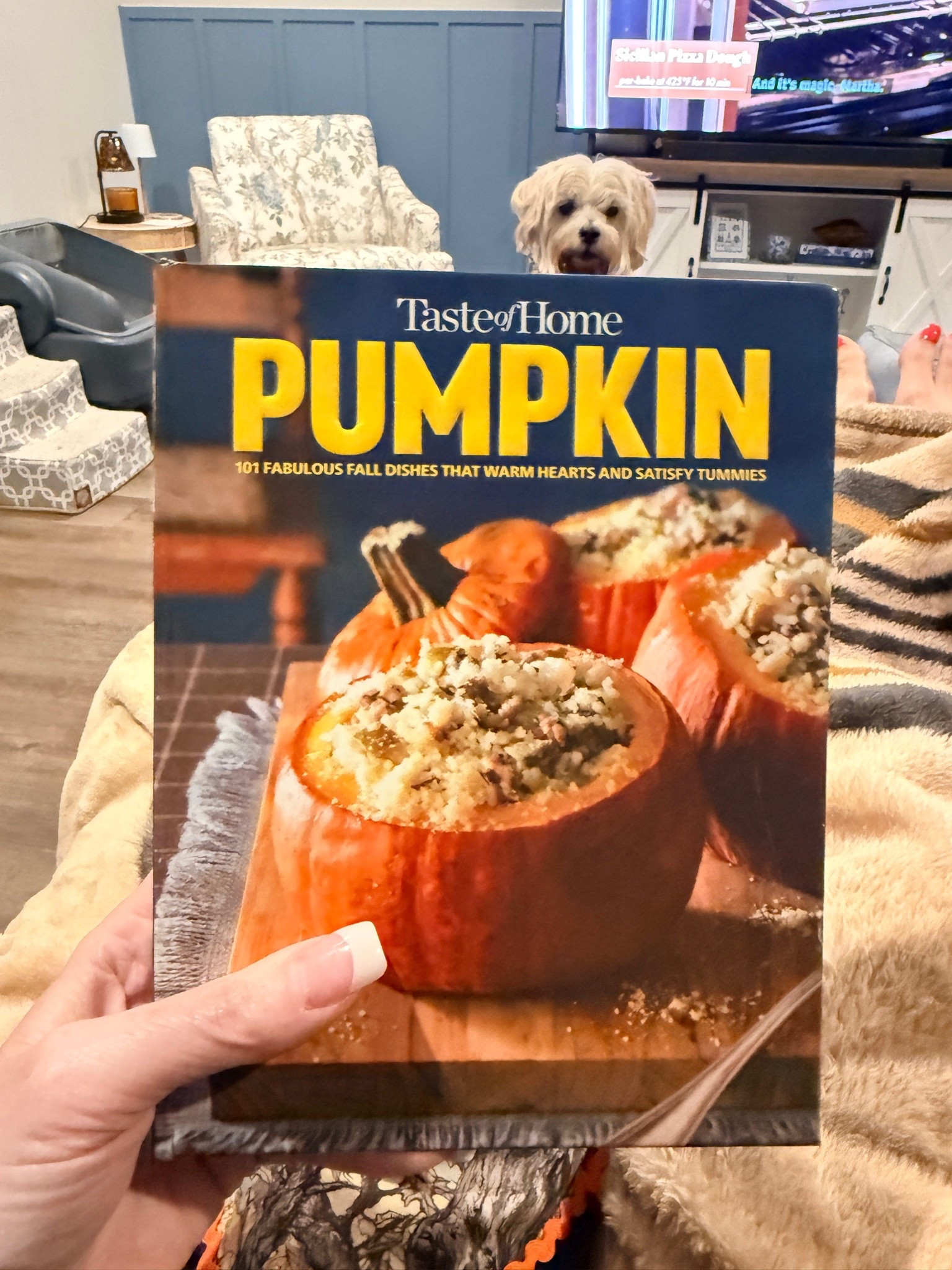 So excited for pumpkin season 🎃

Fall cookbooks, fall home

#LTKfoodie #LTKHome