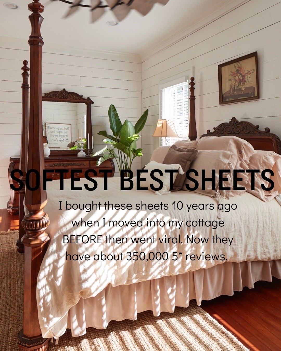 I bought these sheets 10 years ago when I moved into my cottage and now they have over 350,000 5 star reviews. 

Amazon, Amazon finds, Amazon home, home finds, prime days, big deal days, Amazon prime days, home deals, home steals, kitchen, kitchen deals, home hacks

#LTKOver40 #LTKHome #LTKSaleAlert