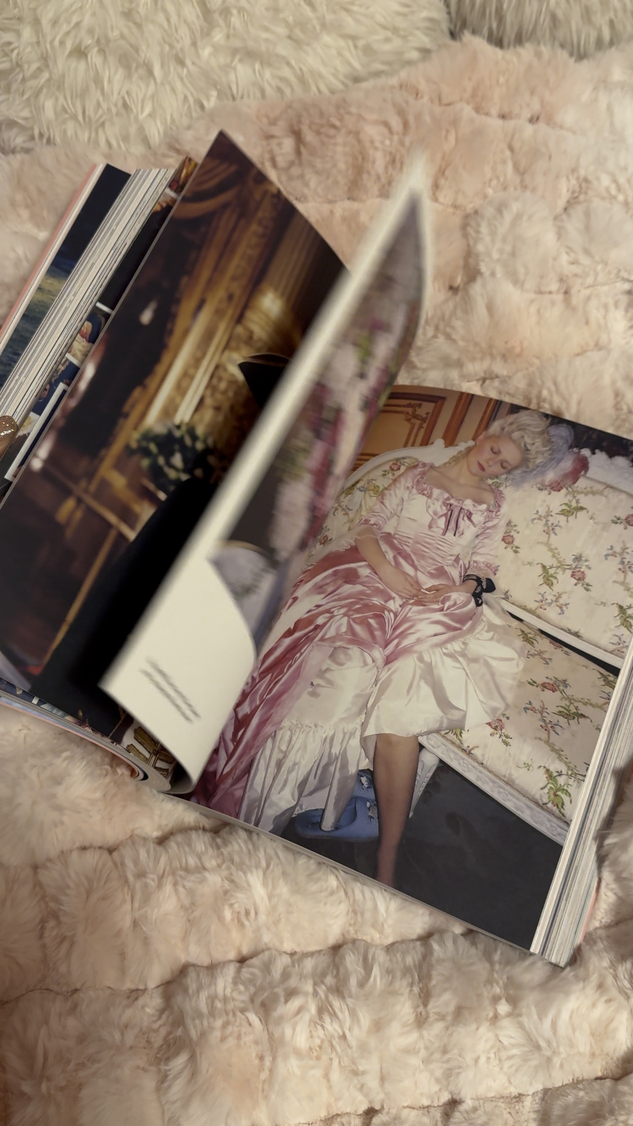 archive by sofia coppola 

#LTKGiftGuide #LTKHome #LTKFindsUnder100