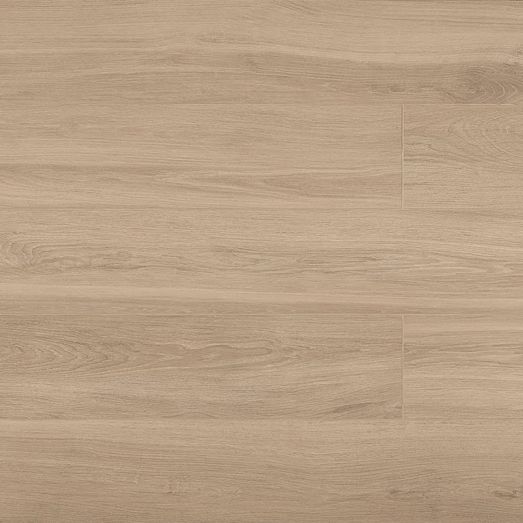 Gray | Wayfair North America