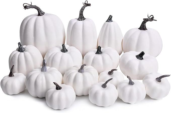 CaseTank-16 PCS Fall Decor Artificial White Pumpkins Fall Decorations for Home Harvest Mini Pumpk... | Amazon (US)