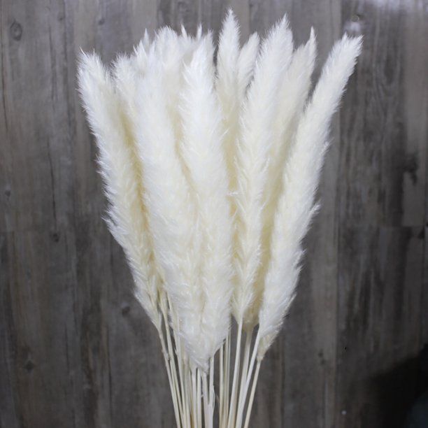Dried Pampas Grass Plumes 15pcs Tall Natural Dried Flowers Arrangements for Wedding Door Room Vas... | Walmart (US)