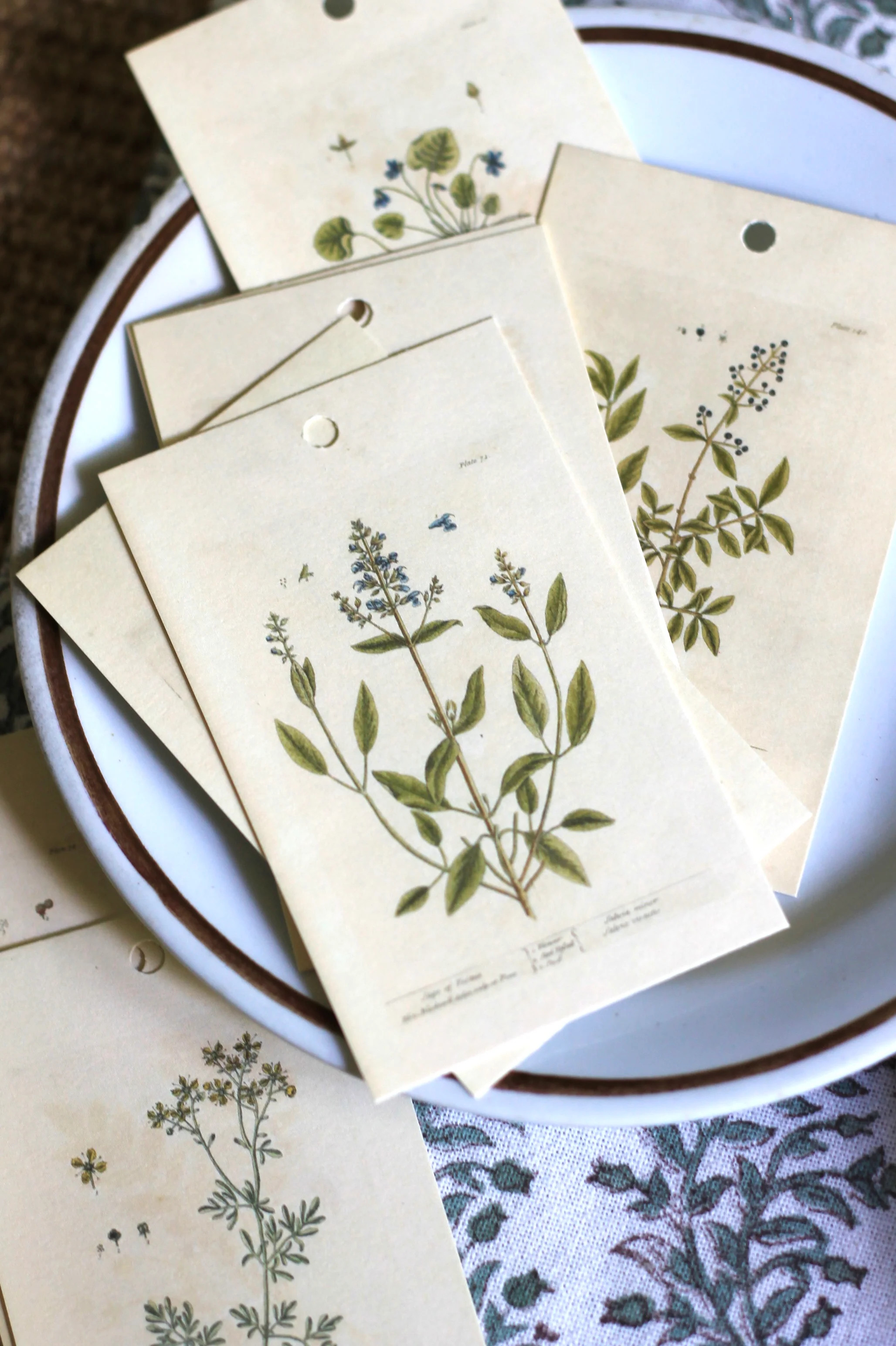 Antique Tags | JSH Home Essentials