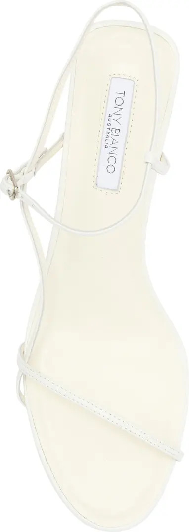 Caprice Ankle Strap Sandal (Women) | Nordstrom